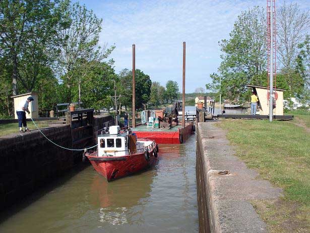Hjalmar