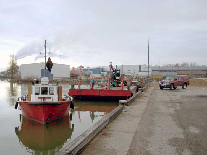 Hjalmar