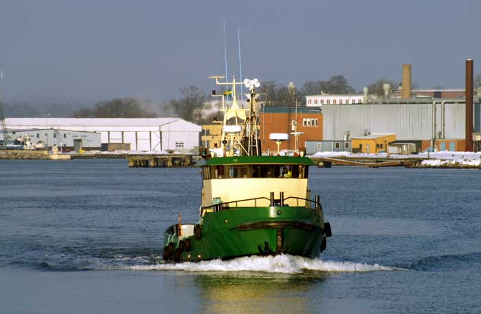 Voima