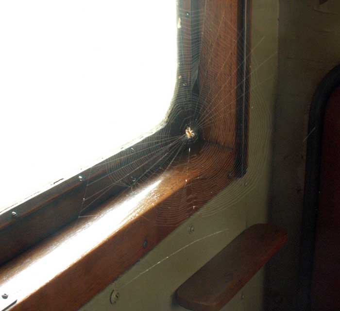 Krylboresan 13/5 2006