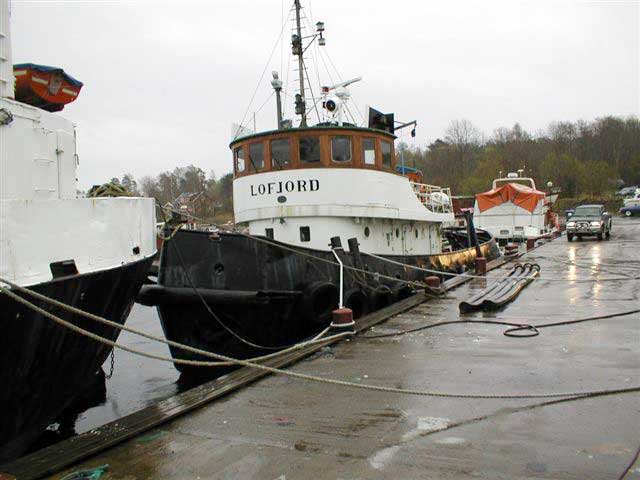 Lofjord