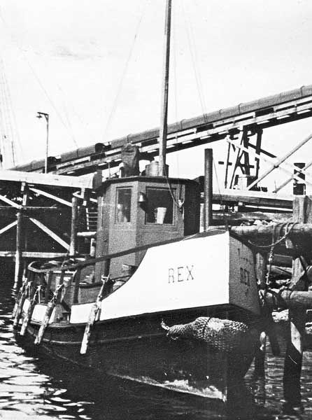 Rex