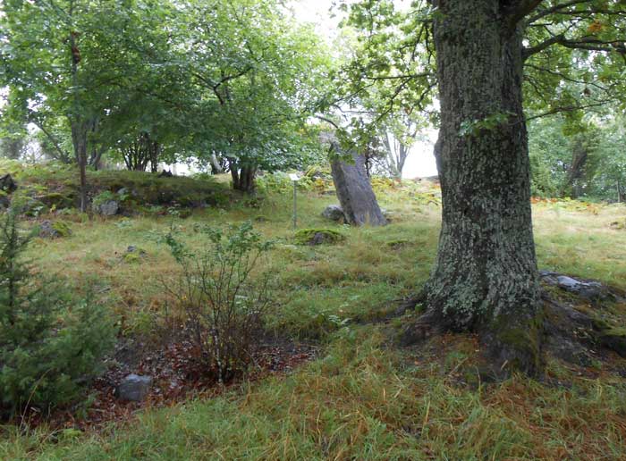 Tryck p� bilden