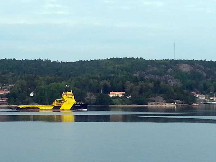 Vidar Viking