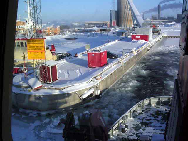 Viscaria