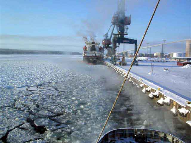 Viscaria