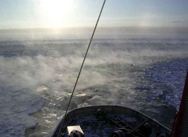 Viscaria