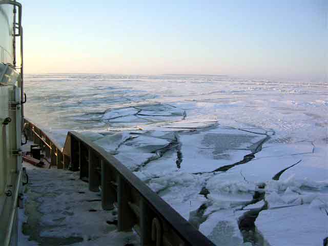 Viscaria