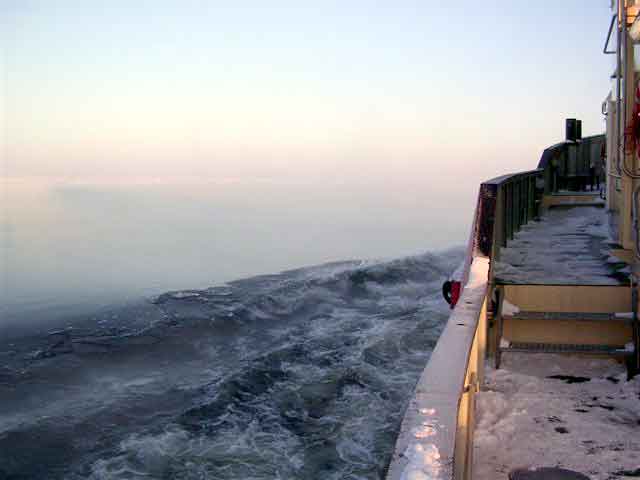 Viscaria