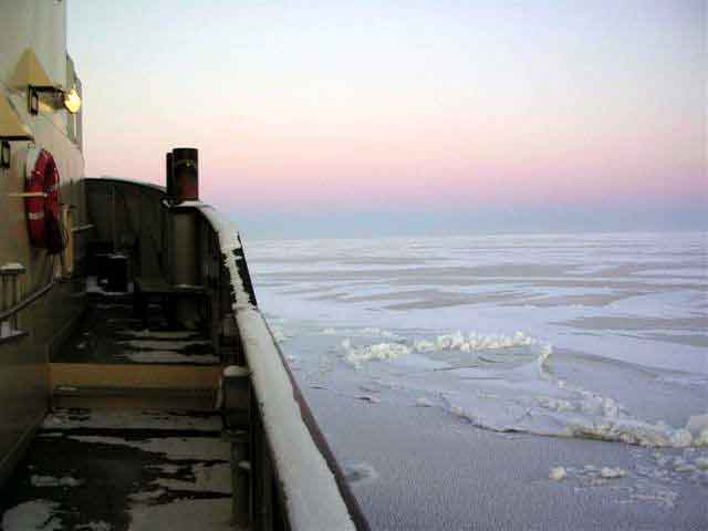 Viscaria