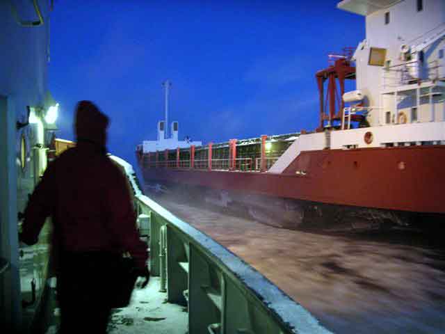 Viscaria