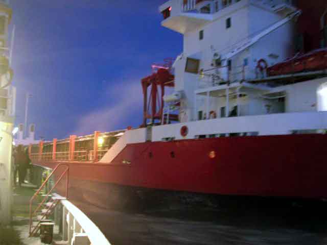 Viscaria