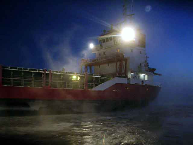 Viscaria