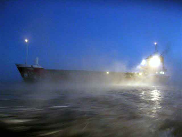 Viscaria