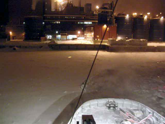 Viscaria