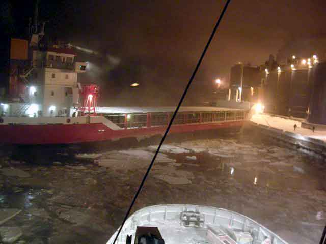 Viscaria