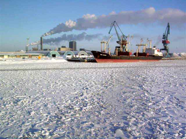 Viscaria