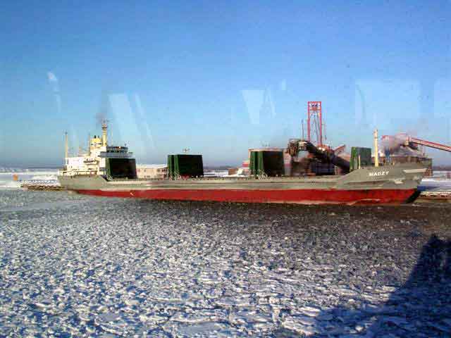 Viscaria