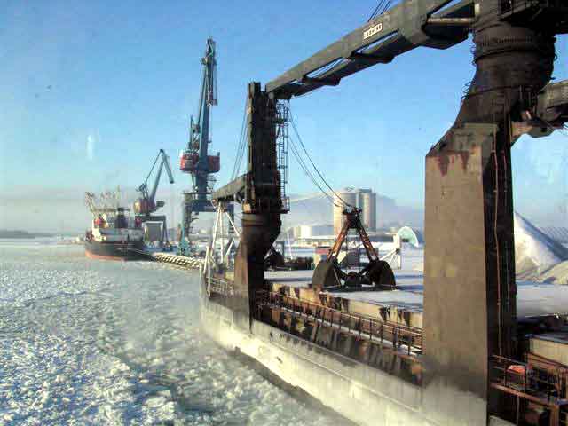 Viscaria