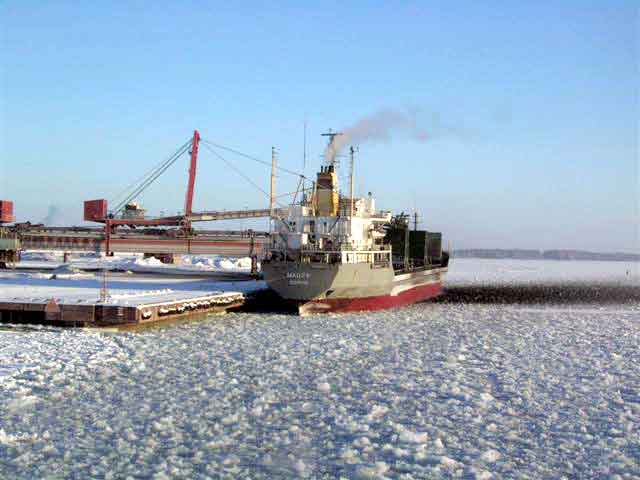 Viscaria