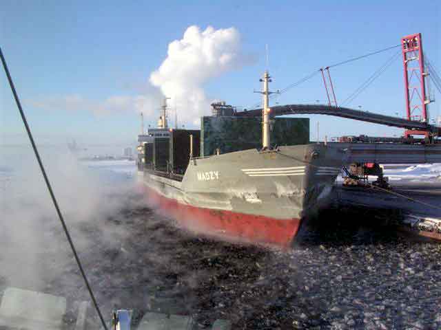 Viscaria
