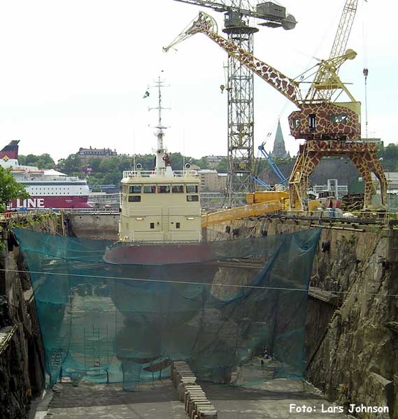Viscaria