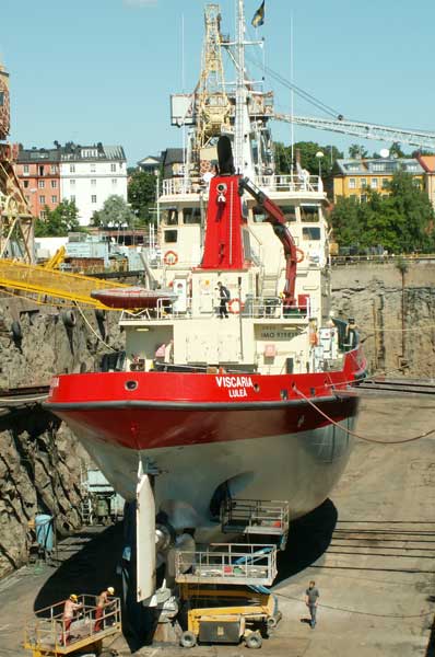 Viscaria