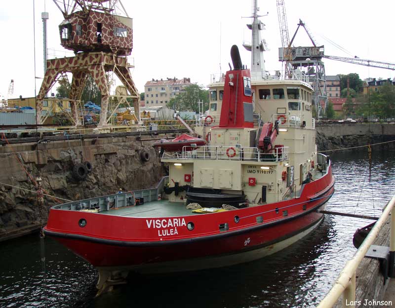 Viscaria