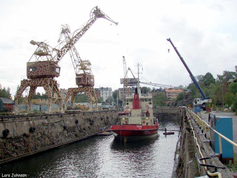 Viscaria