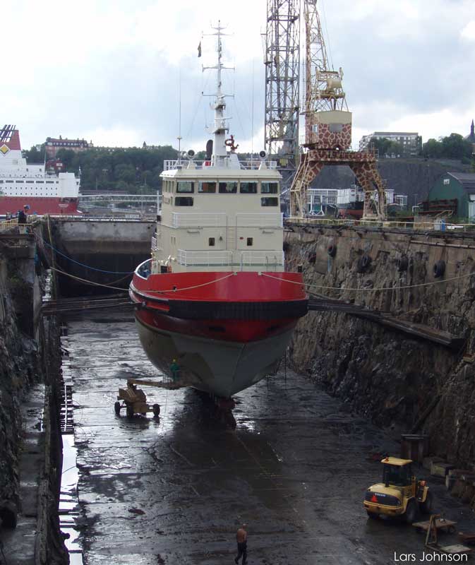 Viscaria